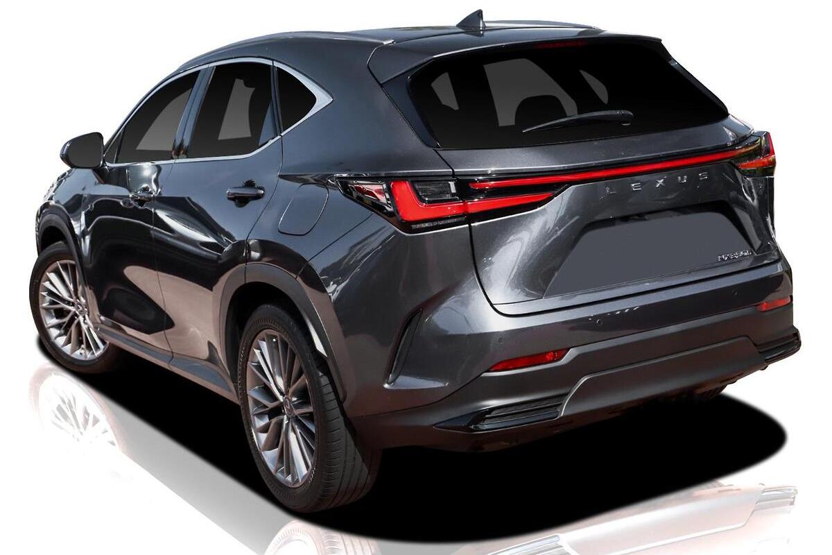 2024 Lexus NX NX350h Sports Luxury Auto 2WD image 4
