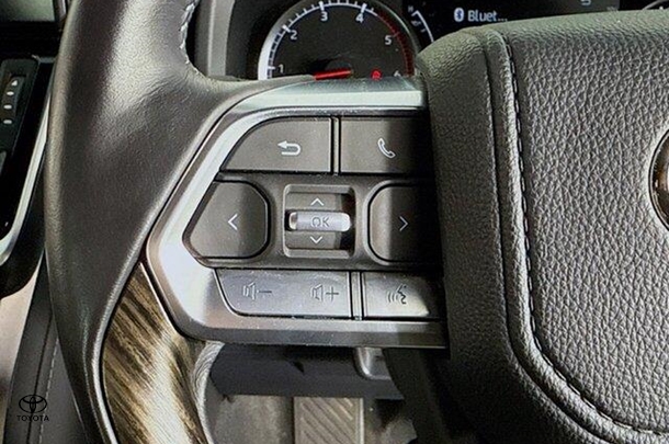 2022 Toyota LANDCRUISER Sahara image 19