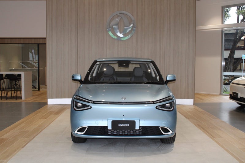 2025 Dongfeng Box 44Kwh/Ev/At image 4