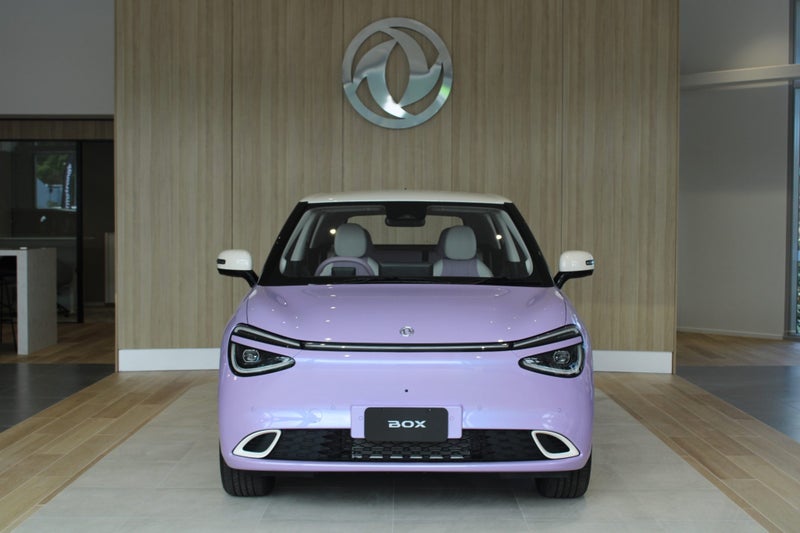 2025 Dongfeng Box 44Kwh/Ev/At image 4