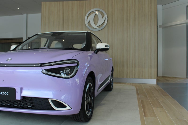 2025 Dongfeng Box 44Kwh/Ev/At image 5