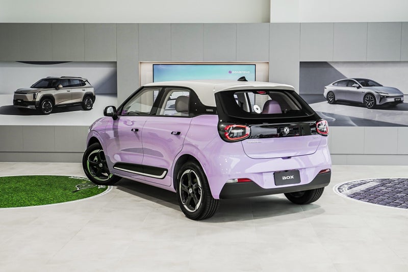 2025 Dongfeng Box 44Kwh/Ev/At image 3