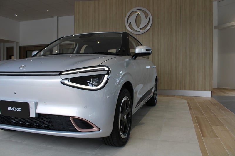 2025 Dongfeng Box 44Kwh/Ev/At image 4