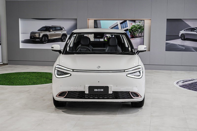 2025 Dongfeng Box 44KWH/EV/AT image 5