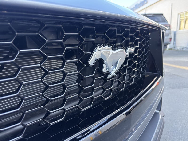 2025 Ford Mustang 5.0 V8 GT Convertible image 5