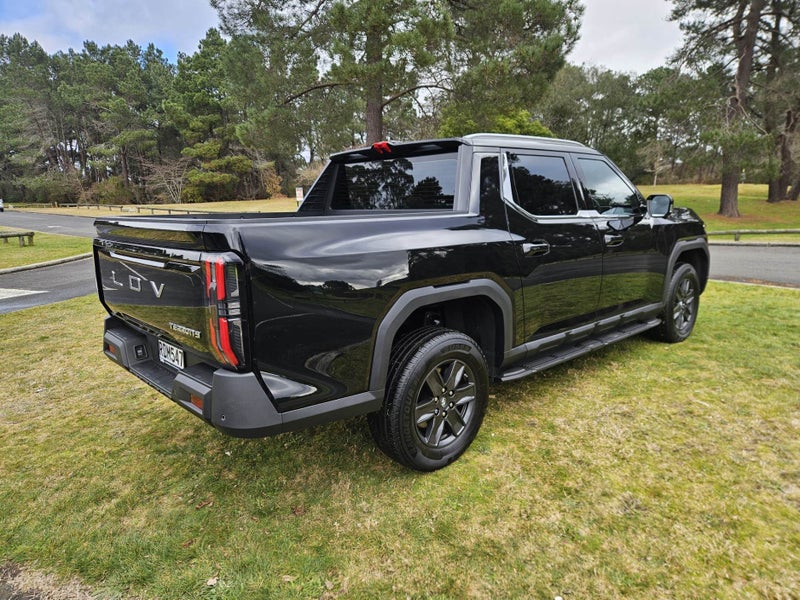 2025 LDV Terron 9 Elite 4WD Auto image 4