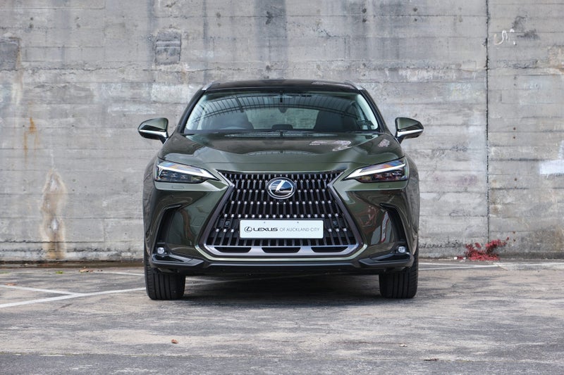 2025 Lexus NX 350h Limited image 4