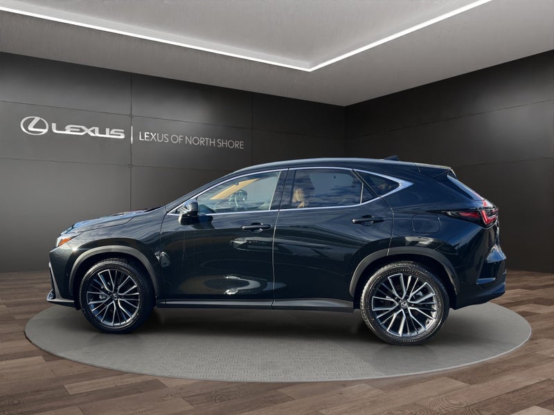2025 Lexus NX 350h Limited 2.5L Hybrid AWD SUV image 4