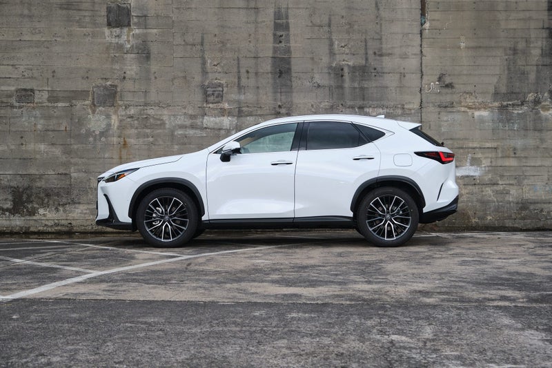 2025 Lexus NX 350h Limited image 3