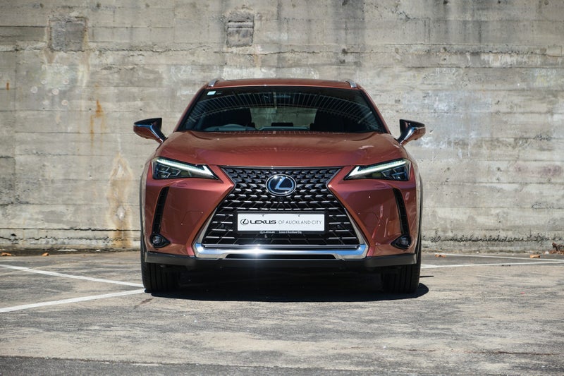 2025 Lexus UX 300h Limited image 2