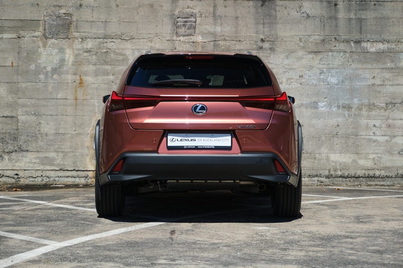 2025 Lexus UX 300h Limited image 5
