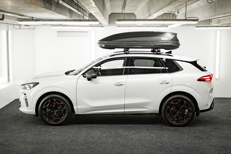 2026 Cupra Terramar V 4Drive image 4