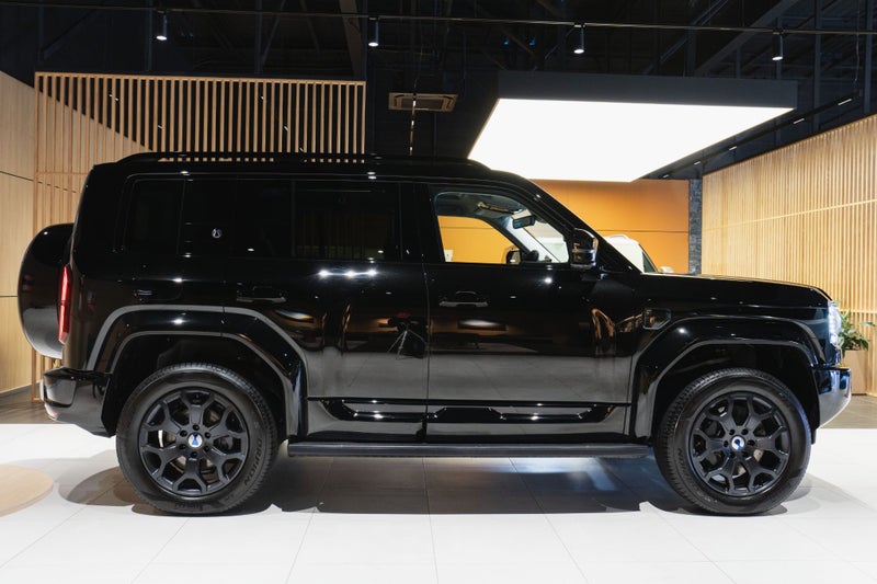 2026 DENZA B5 Leopard image 3