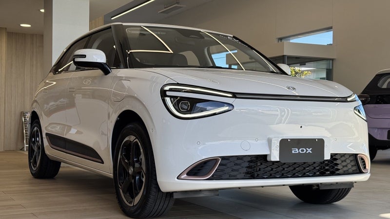 2026 Dongfeng Box EV - 43.89Kwh / 317Km Range image 4