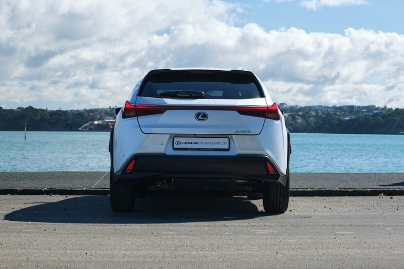 2026 Lexus UX 300h Premium image 5