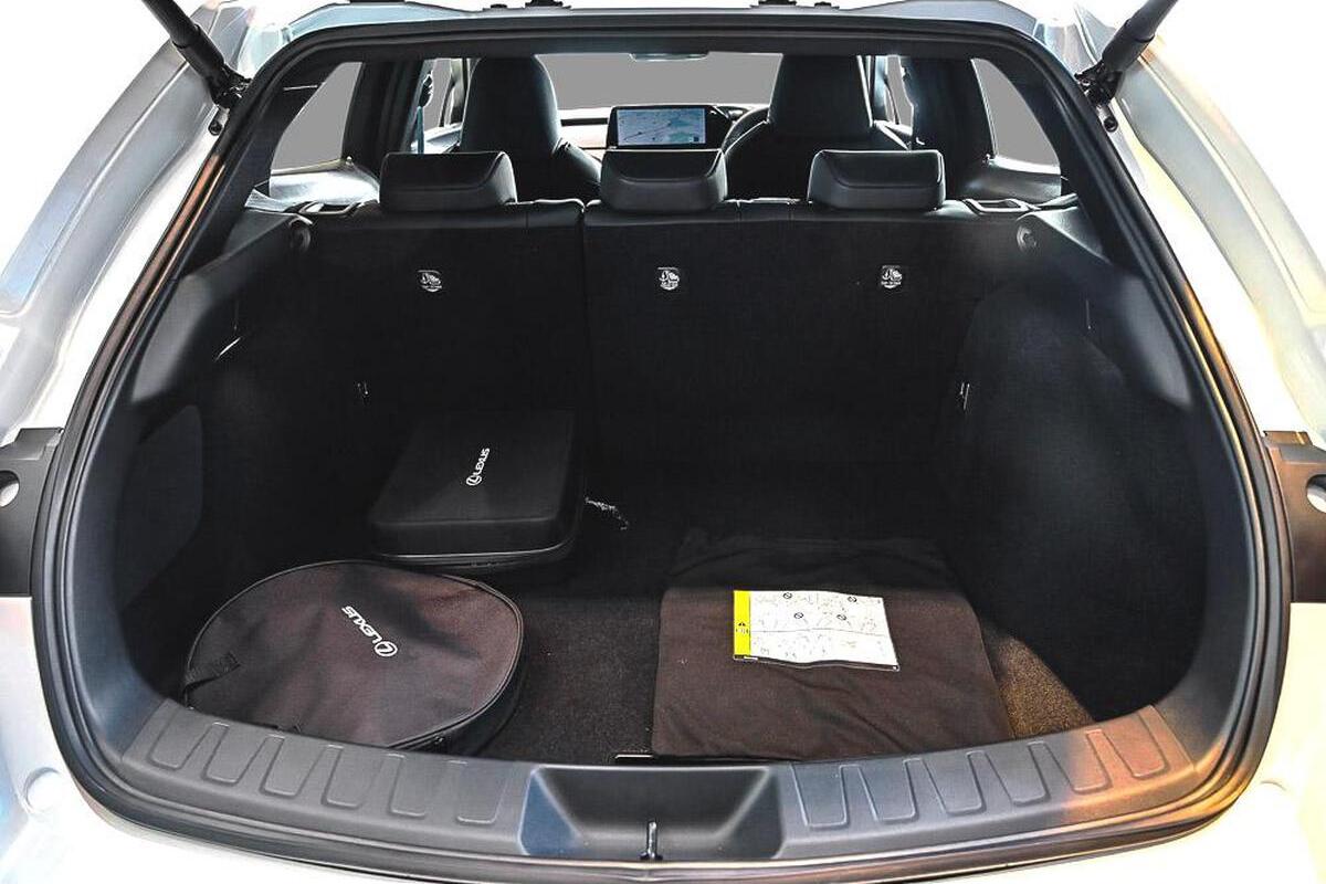 2024 Lexus UX UX300e Luxury Auto FWD image 8