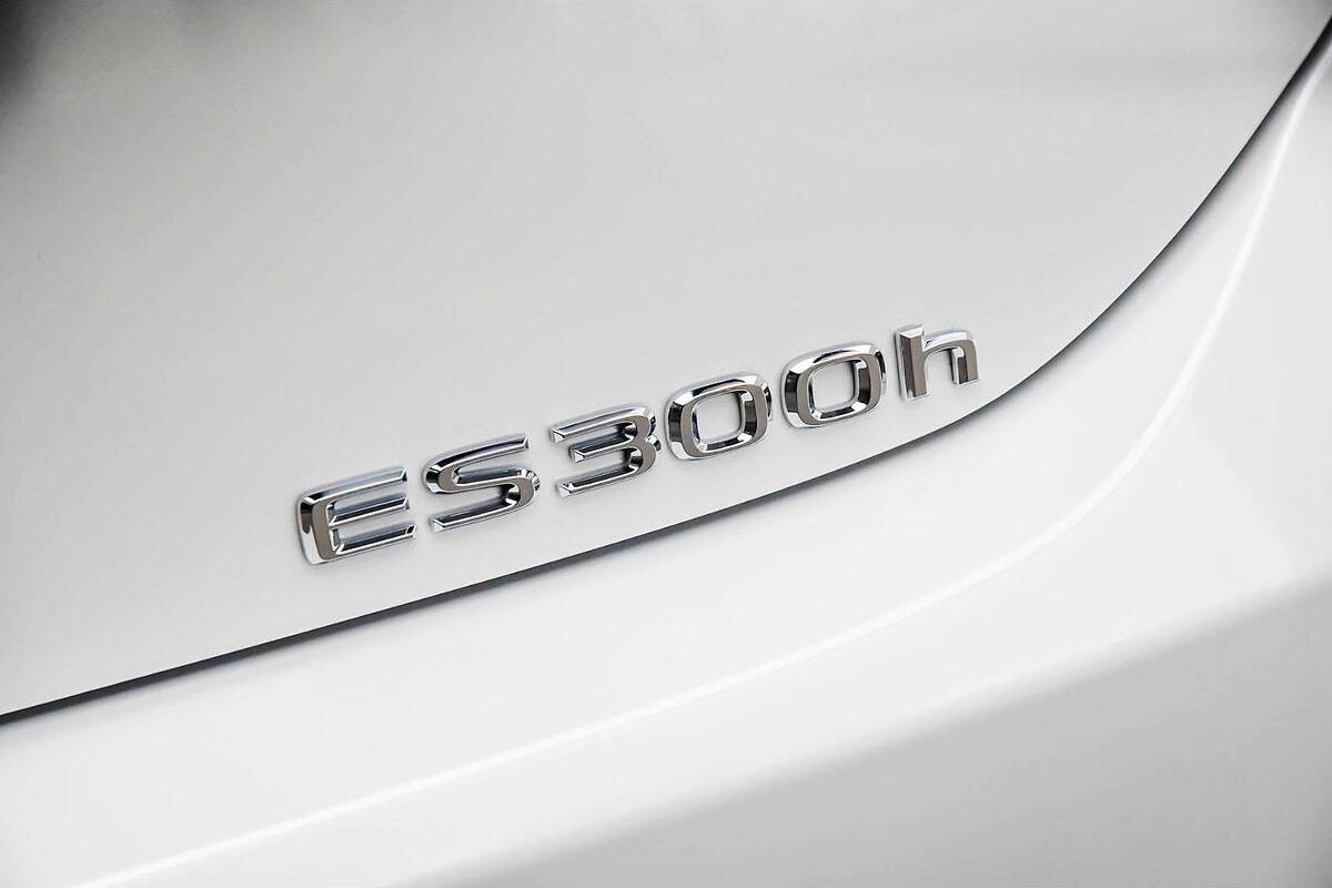 2024 Lexus ES ES300h Luxury Auto image 11