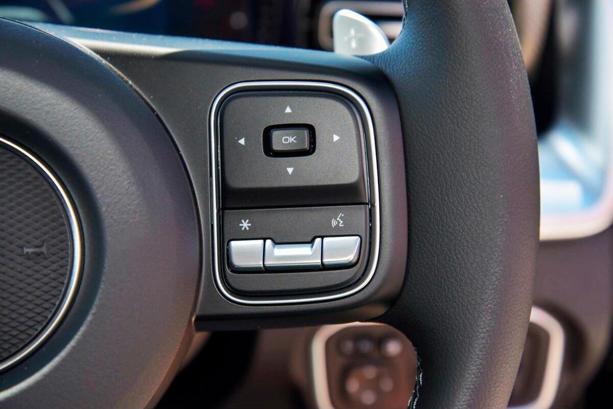 2025 GWM Cannon Lux Auto 4x4 Dual Cab image 16