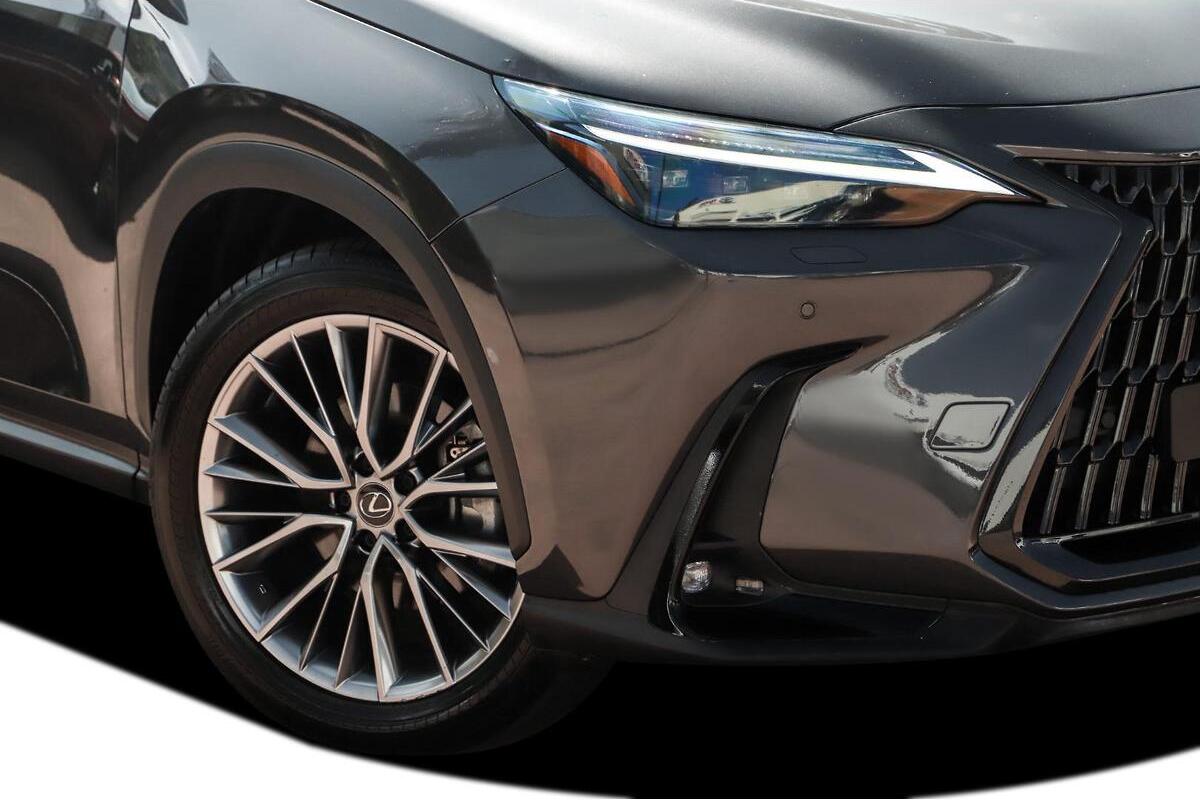 2024 Lexus NX NX350h Sports Luxury Auto 2WD image 8
