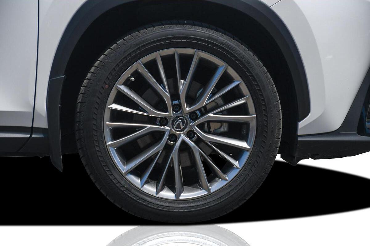 2024 Lexus NX NX350h Sports Luxury Auto eFour image 9