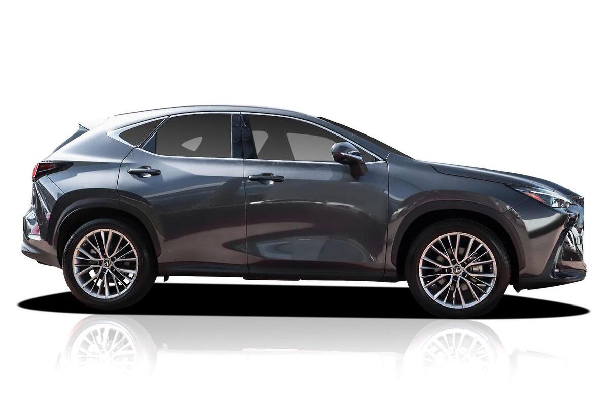 2024 Lexus NX NX350h Sports Luxury Auto 2WD image 5
