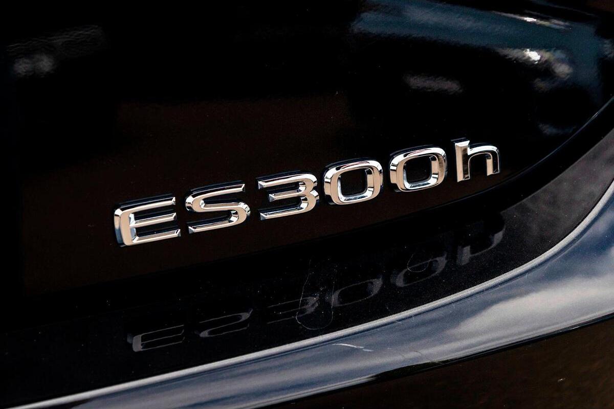 2024 Lexus ES ES300h F Sport Auto image 10