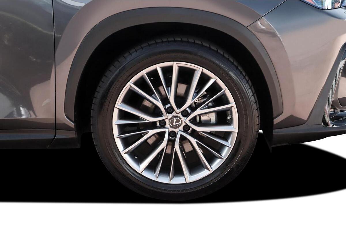 2024 Lexus NX NX350h Sports Luxury Auto 2WD image 9