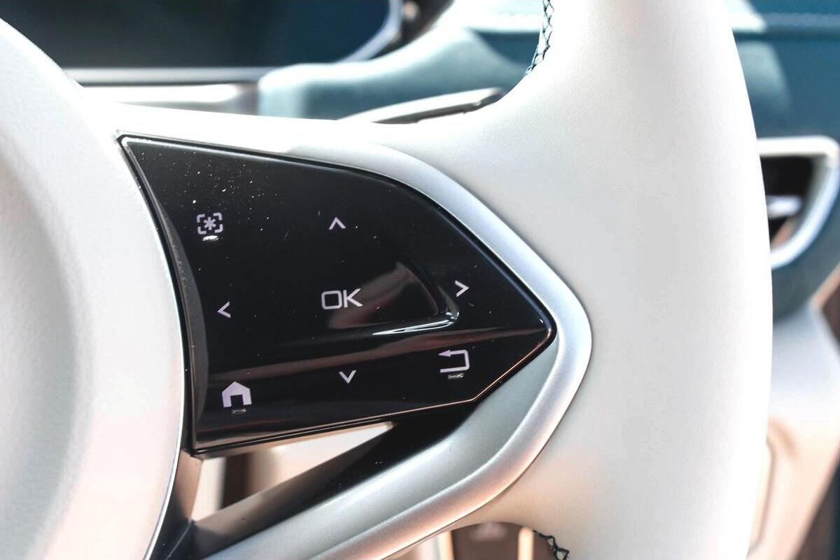 2024 GWM Ora Standard Range Auto image 13