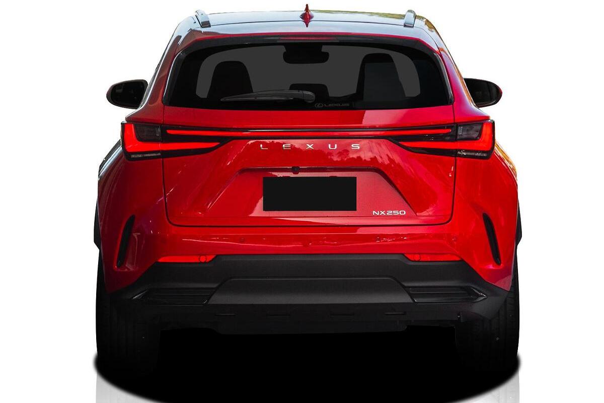 2025 Lexus NX NX250 Auto 2WD image 3