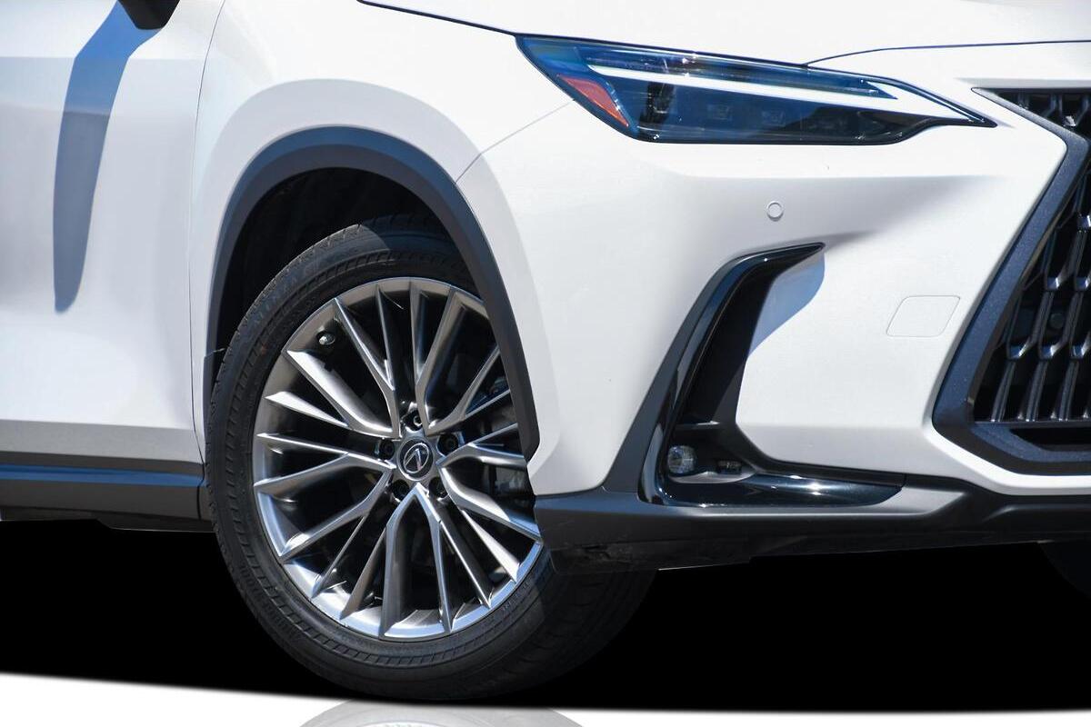 2025 Lexus NX NX350h Sports Luxury Auto eFour image 8