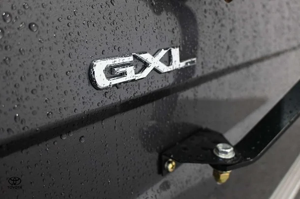2025 Toyota LC Military GXL image 9