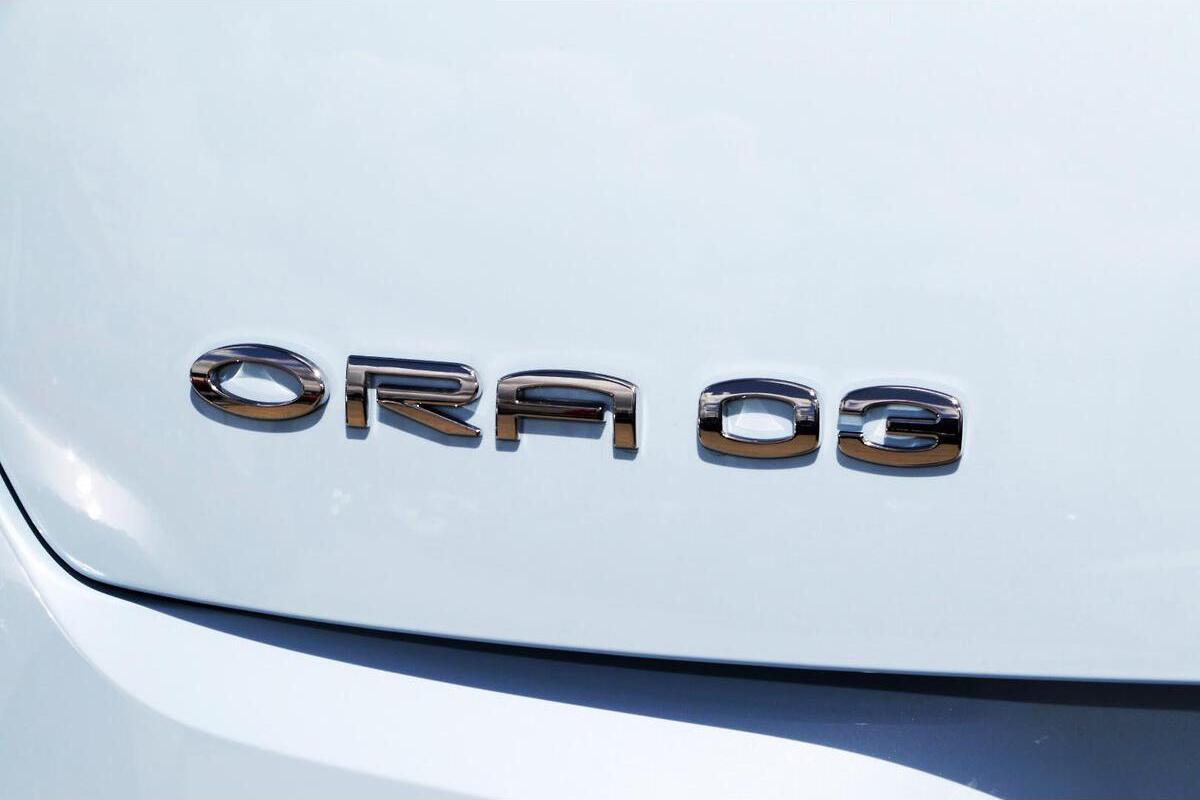 2025 GWM Ora Standard Range Auto image 13