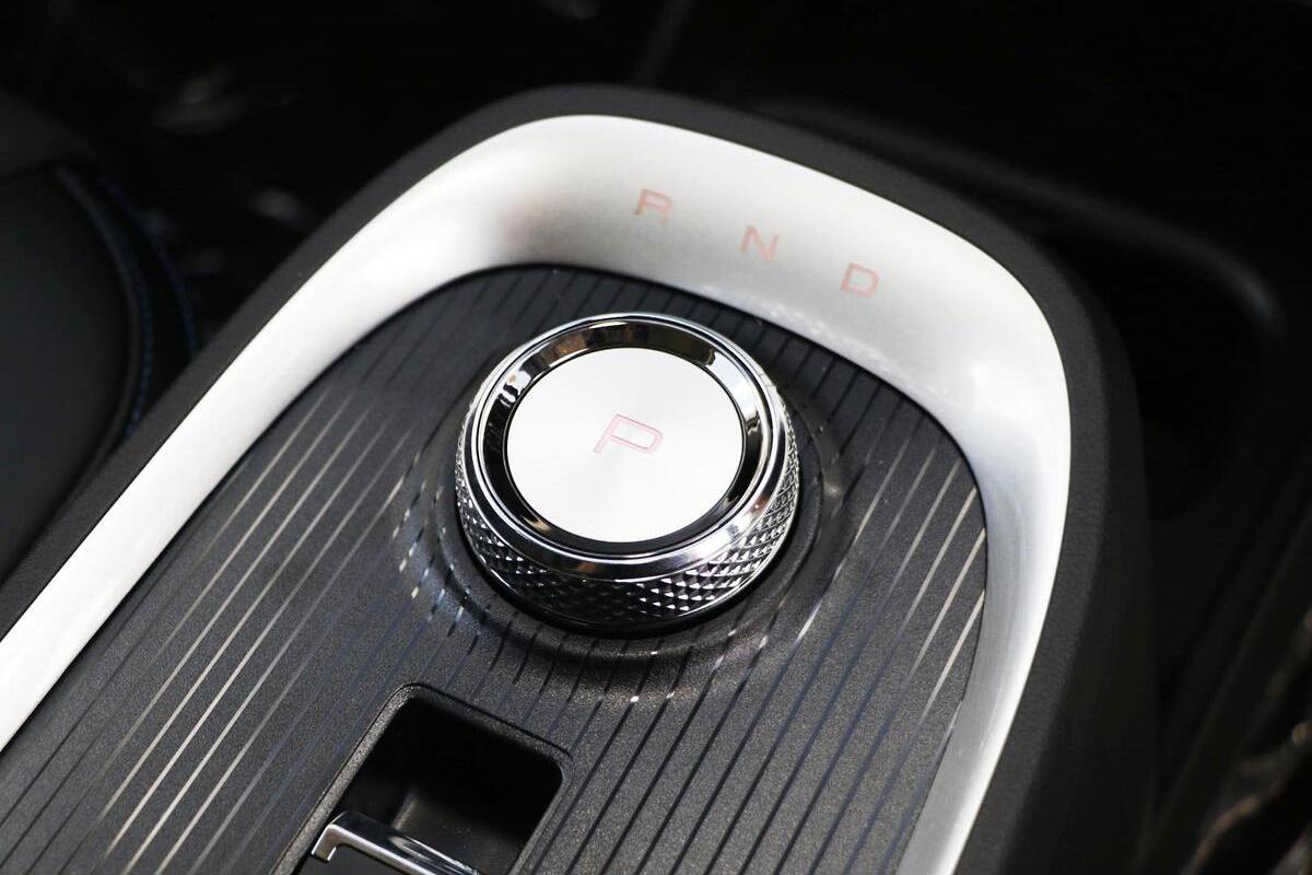 2025 GWM Ora Standard Range Auto image 15