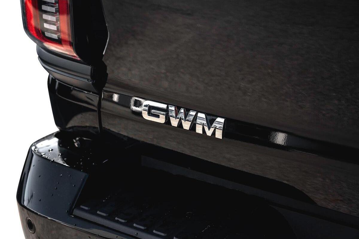 2025 GWM Cannon Alpha Lux Auto 4WD Dual Cab image 12