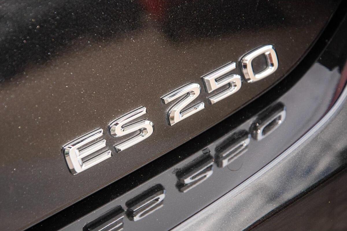 2024 Lexus ES ES250 F Sport Auto image 8