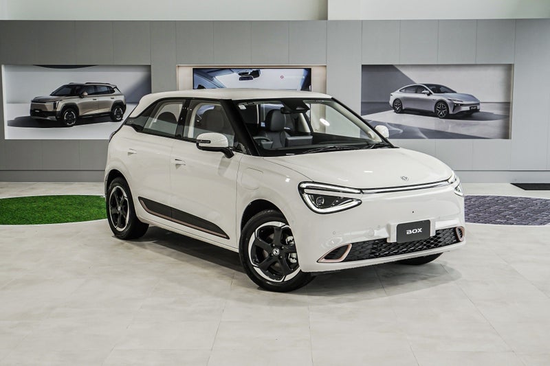 2025 Dongfeng Box 44KWH/EV/AT